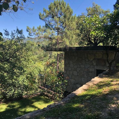 Sobreiro Valley - Casa Firmino Vieira do Minho Buitenkant foto